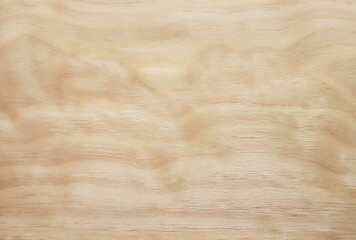 Fototapeta premium Wood texture background. Wooden texture for design and decoration