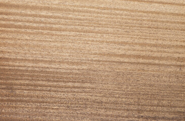 Wood texture background. Wooden texture for design and decoration