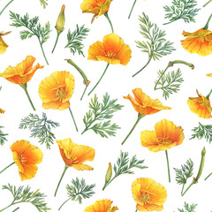 Seamless pattern with gold poppy flower (golden Eschscholzia, California sunlight, cup of gold, tufted desert Mojave poppy). Hand drawn watercolor painting illustration isolated on white background.