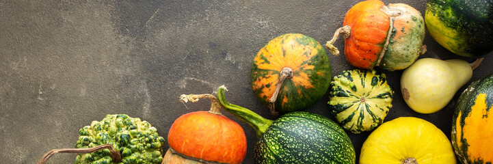 Decorative and edible pumpkins on a green background, top view, autumn banner, copy space