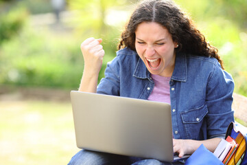 Excited woman checking laptop sitting in a park