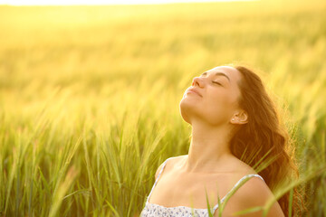 Woman breathing fresh air sitting in a wheat field