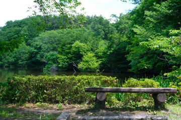 石のベンチと初夏の風景