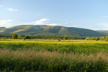 landscape with green fields and mountains in summer