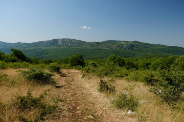Fototapeta na wymiar Mountain footpath landscape in the summer