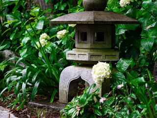 Fototapeta na wymiar bird house in the garden