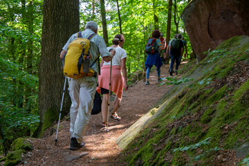 Gruppe von Wanderern im Pfälzerwald, Deutschland
