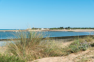 Fototapeta na wymiar Ile d’Oléron (Charente-Maritime, France), vue sur la plage de la Perroche à Dolus d'Oléron