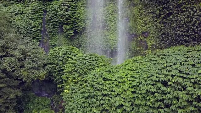avatar pandora Waterfall in real life.
Wonderful aerial view flight rising up drone footage
Waterfall Benang Kelambu Lombok Indonesia 2017. Cinematic view from above Tourist Guide by Philipp Marnitz