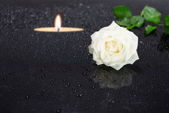 close-up of a white rose flower blossom with blurred candlelight on black background with symbolic teardrops, concept for condolence card, funeral, mourning, thanks with copy space