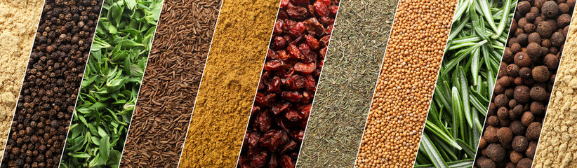 Collage with photos of different spices and herbs, top view. Banner design