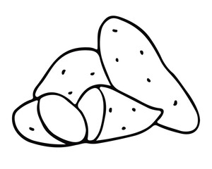 Sweet potatoes in doodle style. Vegetables. Vector illustration