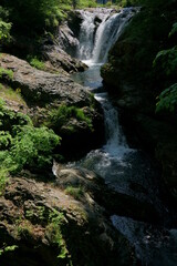 Naklejka na ściany i meble 初夏の緑の頃の滝の風景　-多留姫の滝