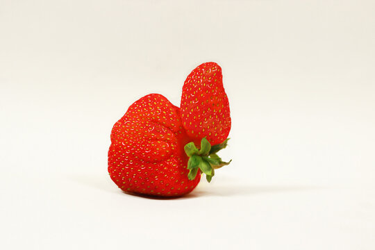 Erdbeere - Daumen hoch - freigestellt