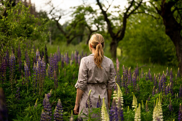 Woman in lupine field - beautiful purple field in Czech