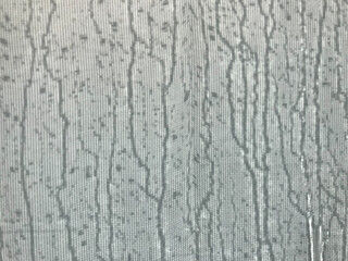 shadow of rain pour over a white cotton-fiber tent in a full-frame shot, rainy season concept