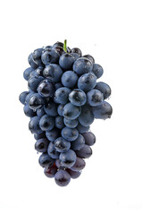 Grapes in white background