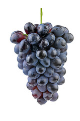 Grapes in white background
