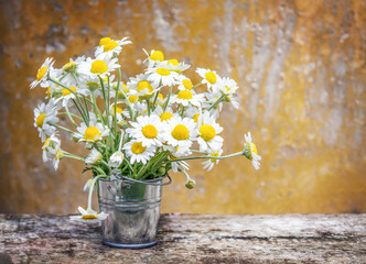 bouquet of daisies on a concrete wall background