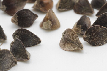 白い背景とそばの種（アップ）