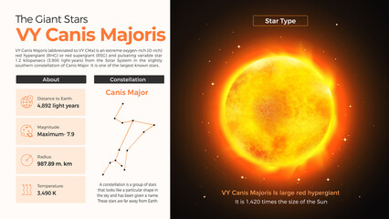 The Solar System-Canis Majoris and its characteristics © BonkersArt