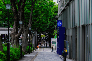 表参道の通り