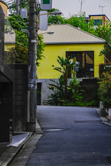 表参道から一歩奥に入った街の風景　キャットストリートなどから広がる入り組んだ区画。有名ショップと住宅が共存している。　神宮前、渋谷区、東京、日本