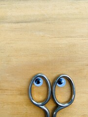 the handle of metal scissors with eyes looks around