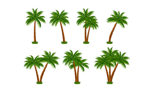 cute coconut tree shape collection