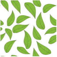 Nature background. Leaf organic concept. Natural layout design background. Beautiful green brochure on white backdrop.