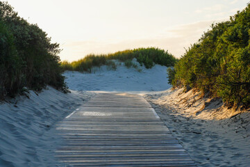Wooden plank walkway between sand dunes with grass