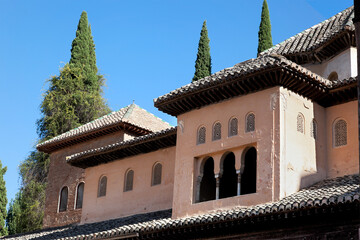 Fototapeta na wymiar Alhambra rooftops, blue sky and cypress trees.
