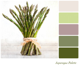A bunch of tied asparagus in a colour palette with complimentary colour swatches
