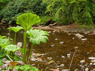 Inverness in schottland