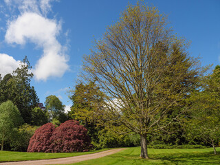 Inverness in schottland