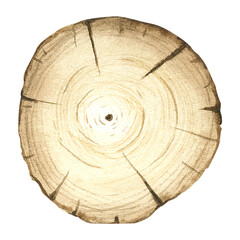watercolor illustration of a sawn tree of rounded shape. image of tree rings. A tree in a cross section. Wood texture