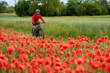 nice, active senior woman having fun on her electric bicycle in a huge field of blooming red...