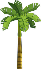 Cartoon Tropical Palm Tree With Crown Of Green Leaves. Vector Hand Drawn Illustration Isolated On White Background