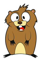 Fototapeta premium Bóbr