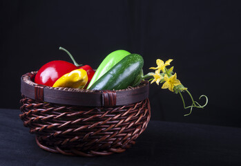 all kind of colorful organic vegetables with rich vitamin and nutritious with white background