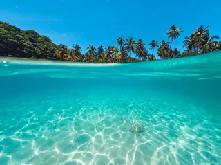 Foto op Canvas Tropical Island Palm and underwater © artrachen