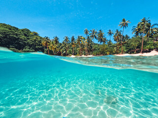 Tropical Island Palm and underwater