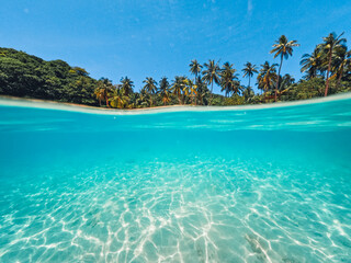 Fototapeta na wymiar Tropical Island Palm and underwater