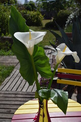 Ar&ocirc;mes Blanches 