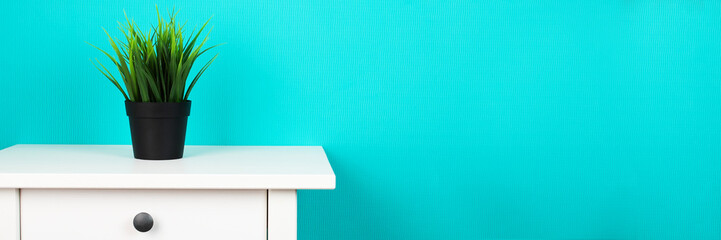 design modern scandinavian,minimalism,grass in pot on table stand,home plant,banner,space for text