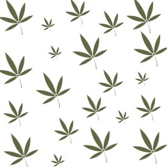 cannabis leaf seamless vector illustration design