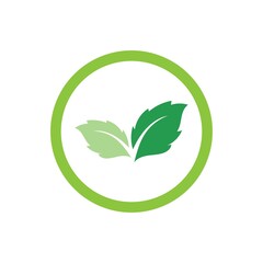 Mint leaves flat vector color icon template
