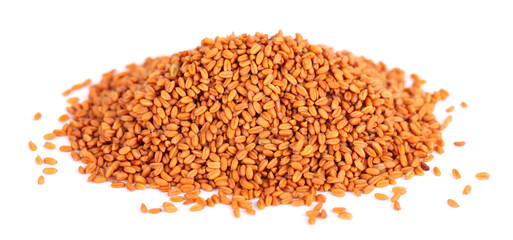 Camelina sativa seeds isolated on white background. Seeds of camelina or false flax. Raw material for the production of camelina oil.