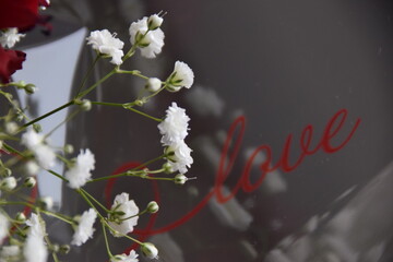 La Gypsophile  Fond Love