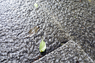 Cobblestones wet in the rain